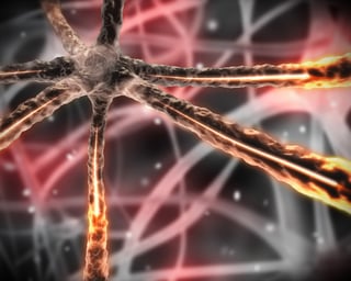 Black background orange microscopic nervous system.jpeg